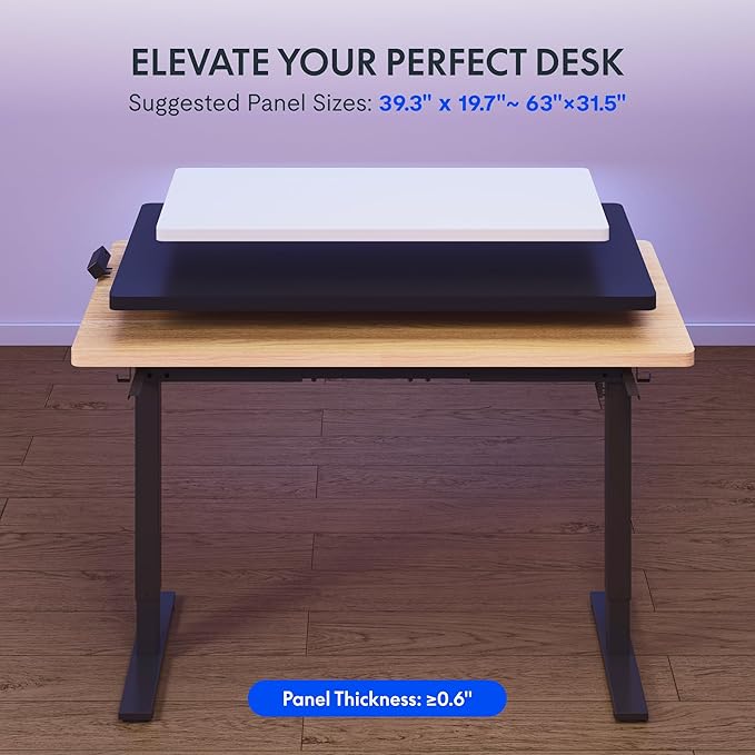 FLEXISPOT EN2 Standing Desk Frame with Clamp Power Strip and Cable Management Tray, Electric Sit Stand Desk Base with Memory Controller for Home and Office (Black Frame Only)