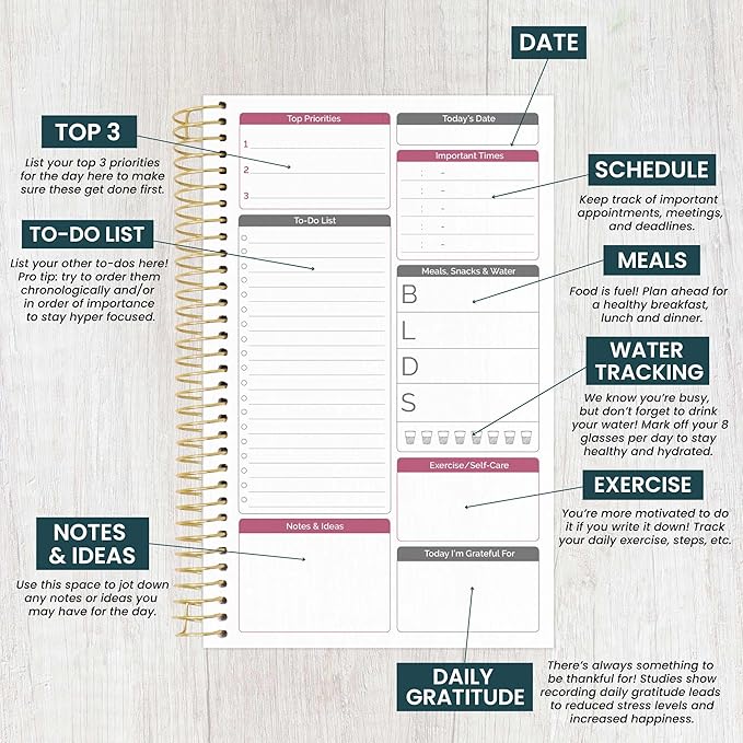 bloom daily planners Bound To Do List Notebook - Undated Daily Planner with 186 pages for Daily Tasks & Appointments- Spiral To Do List Notepad Book for Office, Home, School - Floral Dots V2
