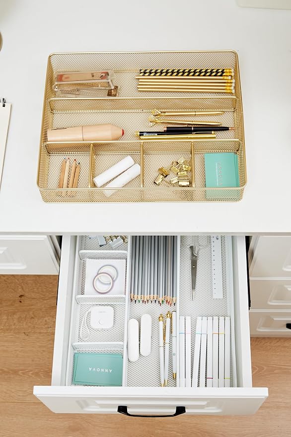 Annova Desk Top Organizer Tray for Office Organization - Metal Mesh - Storage Tray with Dividers for Pens, Desktop Accessories, Bathroom, Kitchen, Makeup and Office Supplies (Large, Gold)