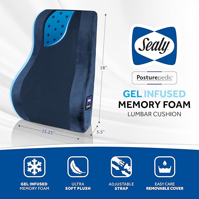 Sealy High Back Memory Foam Lumbar Support Pillow for Office Chair or Gaming Chair, Orthopedic Back Pillow for Car Seat, Navy