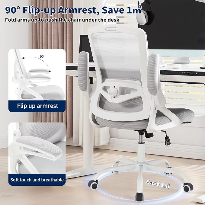 Ergonomic Office Chair, Desk Chair with Adjustable Lumbar Support, Breathable Mesh Comfy Computer Chairs with Flip-up Armrests Executive Task Chair for Adults Home Office(Gray)