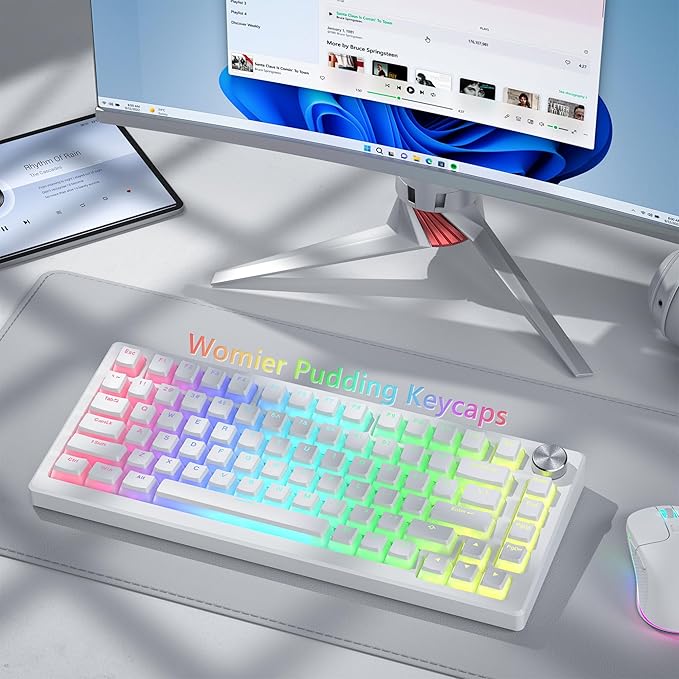 Womier Double Shot PBT Keycaps, Pudding White Keyboard Key caps, OEM Profile Custom Keycaps 75 Percent 129-key Set for 60% 65% 75% 100% Cherry Gateron MX Mechanical Keyboard-White