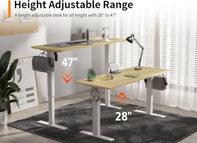 WALKINGDESK 48x24 Inches Height Adjustable Electric Standing Desk with 2 Hooks for Home Office, Ergonomic Sit Stand up Desk with Splice Board, Oak