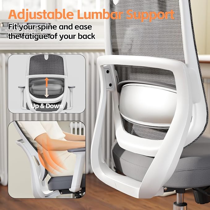 Ergonomic Office Chair, Home Office Desk Chairs, 3D Lumbar Support High Back Desk Chair, Comfortable Computer Chair & Gaming Chair for Office & Home - Silver
