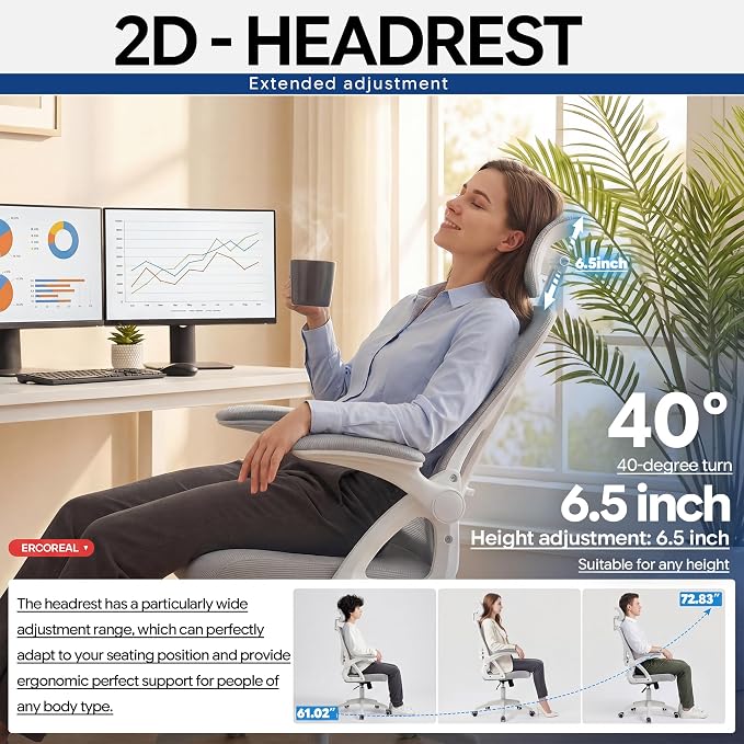 Ergonomic Office Chair–Mesh Computer Chair with Adjustable Lumbar Support, 2D Headrest, Foldable Armrests&Class 3 Gas Lift–Comfortable Home Office Desk Chair for Long Sitting,400 lbs (Gray)