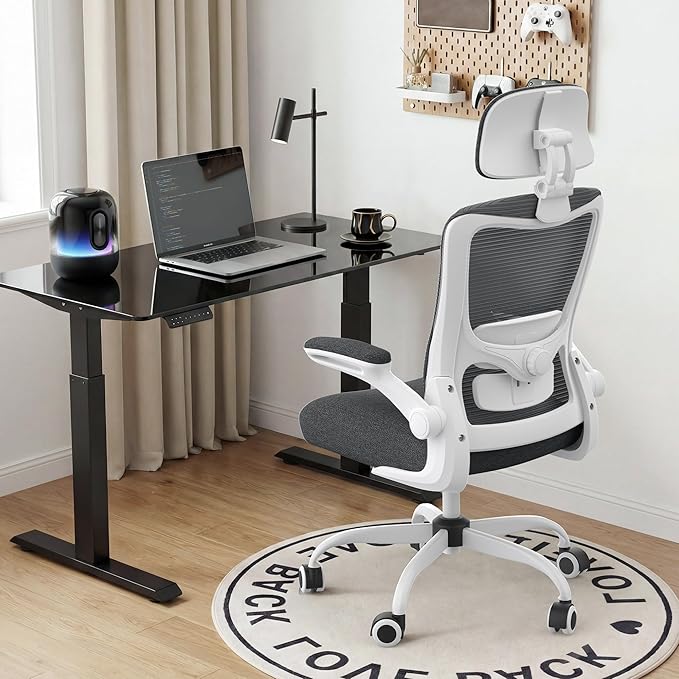 Ergonomic Office Chair, High Back Mesh Desk Chair with Adjustable Lumbar Support & Headrest, Flip-up Armrest, Computer Task Chairs for Home and Executive Office (W-Dgrey)