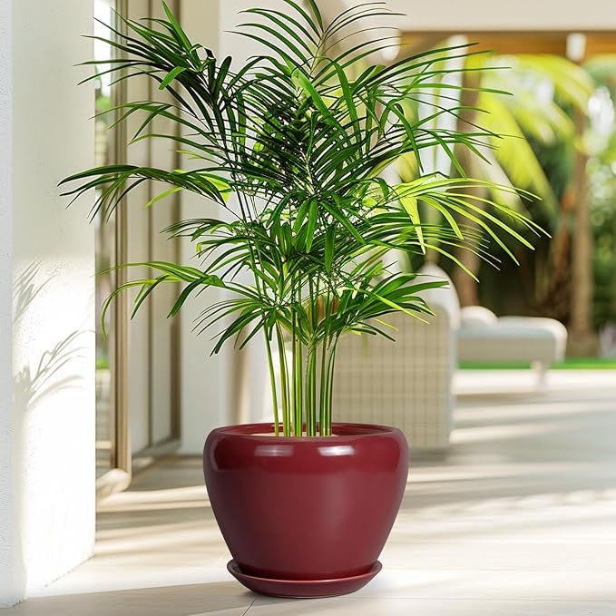 Ceramicfor Ceramic Planter - 8 Inch Plant Pot Indoor with Drainage Hole and Saucer Planter for Outdoor Plants Round Flower Pot for House Patio Decor Red