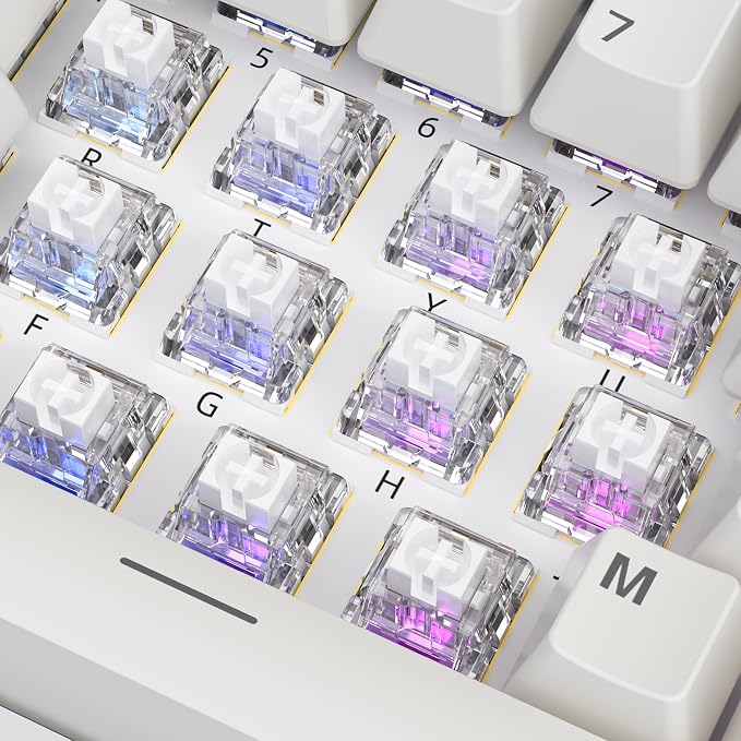 ZhouWang White Shark Keyboard Switch, Pre-Lubricated Dustproof Clicky Switch, Suitable for 3D-Printed Clickers and Gaming Mechanical Keyboards （72Pcs）