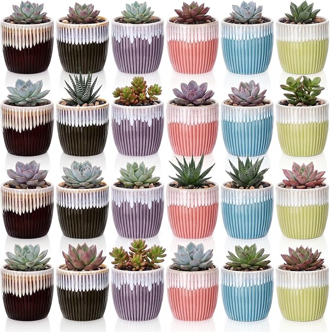 24 Pcs 2.7 Inch Small Succulent Plant Ceramic Pot with Drainage Hole, Cute Mini Succulent Pots for Plants, Succulents, Cactus, DIY Easter Spring Craft Activity, 6 Colors(Color Blocking)