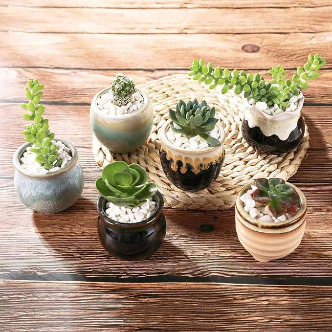 T4U Mini Ceramic Succulent Pots Set of 6, Round Tiny Planters with Drainage Holes and Grid Pads, Small Cactus Flower Pots for Windowsill Desk Decor, Gift for Plant Lovers