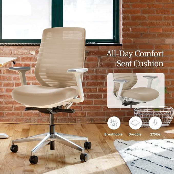 Branch Ergonomic Chair, Versatile Desk Chair with Adjustable Lumbar Support | Breathable Mesh Backrest and Smooth Wheels, Experience Optimal Comfort and Support, Poppy