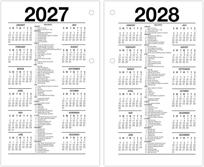 AT-A-GLANCE 2026 Desk Calendar Refill, Daily, 3.5" x 6", Standard, Loose-Leaf (E7175026)