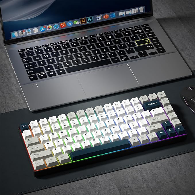 PBT Keycaps Set, Doubleshot 137 Key Caps,Cherry Profile Custom Keycap for 61/64/68/84/87/100/104/108 Mechanical Keyboard, Compatiability for 60 65 75 100 Percent Keyboads (White Grey Blue)
