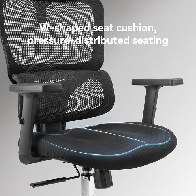SIHOO M56C Ergonomic Office Chair, Desk Chair with Armrests, Computer Chair with Dual Back Design and Adaptive Dynamic Lumbar Support, 2 Packs, Dark Black