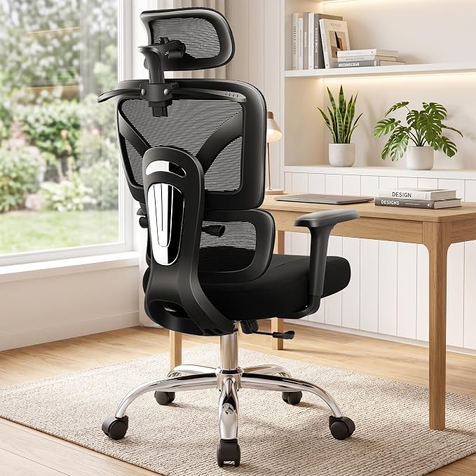 Ergonomic Office Desk Chair, Mesh Office Chairs Comfy for Prolonged Sitting | Segmented Spine Support, Adjustable Lumbar Support for Back Pain Relief, Computer Chair for Home Office, 300LBS, Black