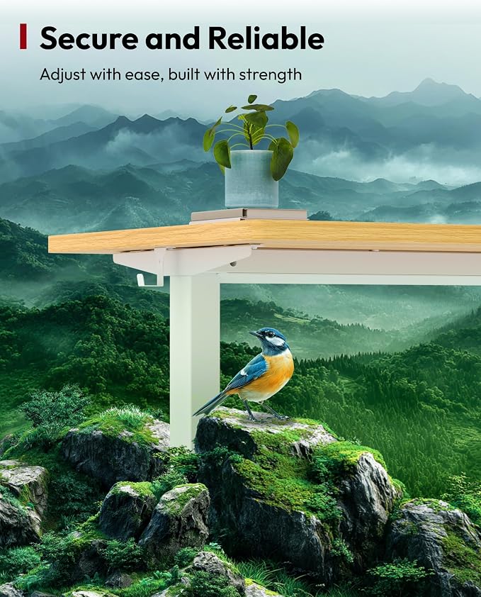 SANODESK One-Piece Electric Standing Desk, Seamless 40 x 24'' Ergonomic Height Adjustable Sit Stand Desk with Memory Presets for Home Office Computer Workstation, White Frame/Natural Top