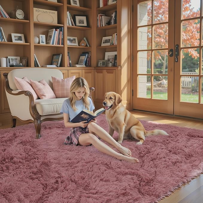 Rugs for Living Room 5x8, Alfombras para Salas Shag Large Plush Soft Area Rug, Shaggy Carpets for Bedroom,Boys Girls Home Decor Aesthetic(Blush, 5 x 8)