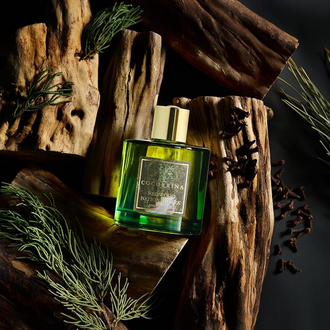 COCORRÍNA Reed Diffuser - Redwood National Park 6.7 Fl.oz Reed Diffuser Set with 8 Sticks & Preserved Baby's Breath, Reed Diffuser for Home Bathroom Shelf Decor