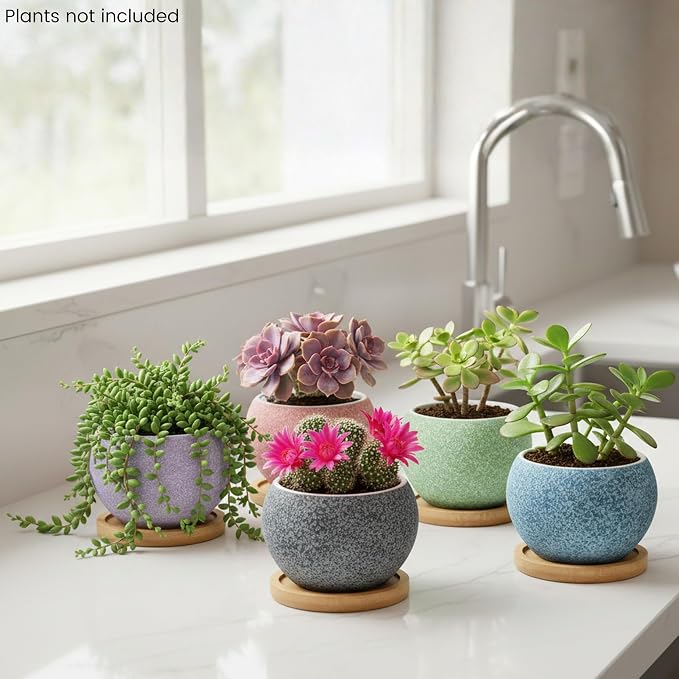 3 inch Ceramic pots for Plants, Small Succulent Pots Set with Drainage, 6 Pack Flower Pot for Indoor Plant, Planters for Little or mini Cactus 2 inches Plants