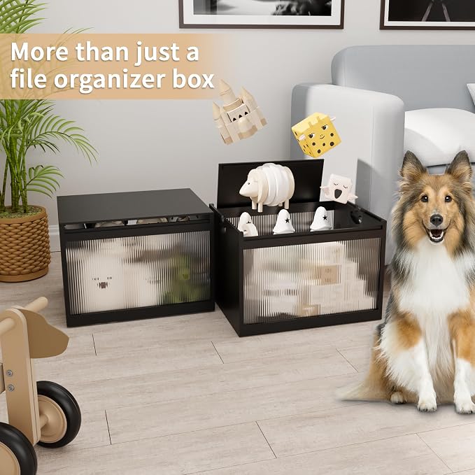 Bamboo Hanging File Organizer, Desktop File Box with Lids, 2 Pack, Black | Removable Lid, Clear Acrylic Side Panels, 4 Hanging Folders Included, Helps Reduce Dust, Letter & Legal Size, Easy Assembly