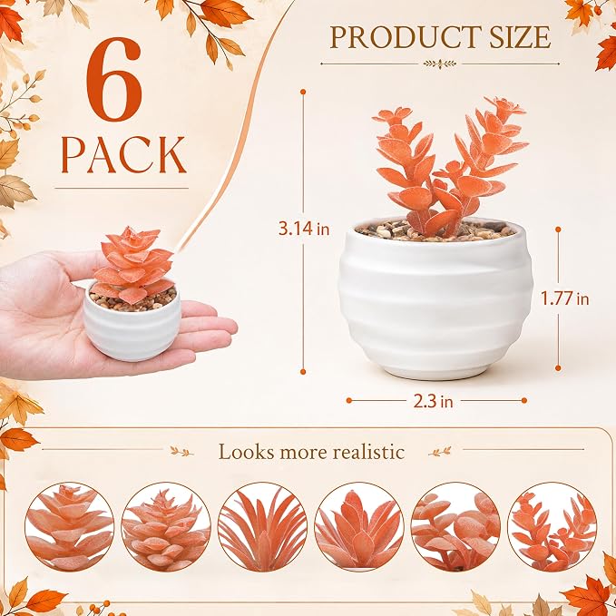 Der Rose Set of 6 Fall Succulents Plants Artificial Small Fake Plants for Autumn Bedroom Living Room Office Shelf Bathroom Decor