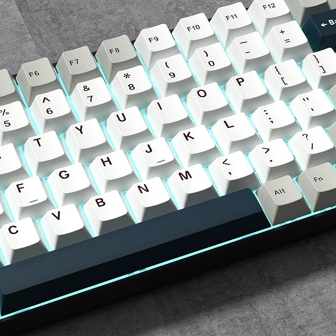 PBT Keycaps Set, Doubleshot 137 Key Caps,Cherry Profile Custom Keycap for 61/64/68/84/87/100/104/108 Mechanical Keyboard, Compatiability for 60 65 75 100 Percent Keyboads (White Grey Blue)