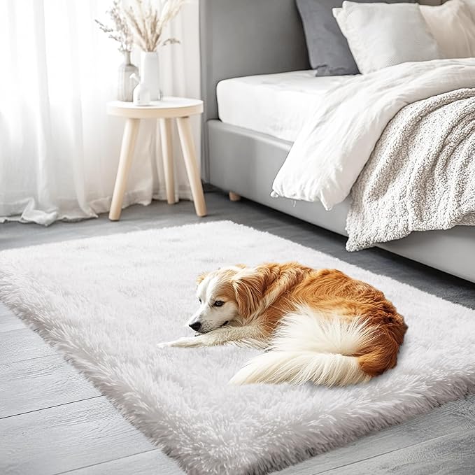 2x3 Area Rug for Bedroom, Small White Rugs for Living Room Nursery Kids Room Dorm Home Decor Aesthetic, Fluffy Shaggy Rug with 4 Anti-Slip Carpet Tapes