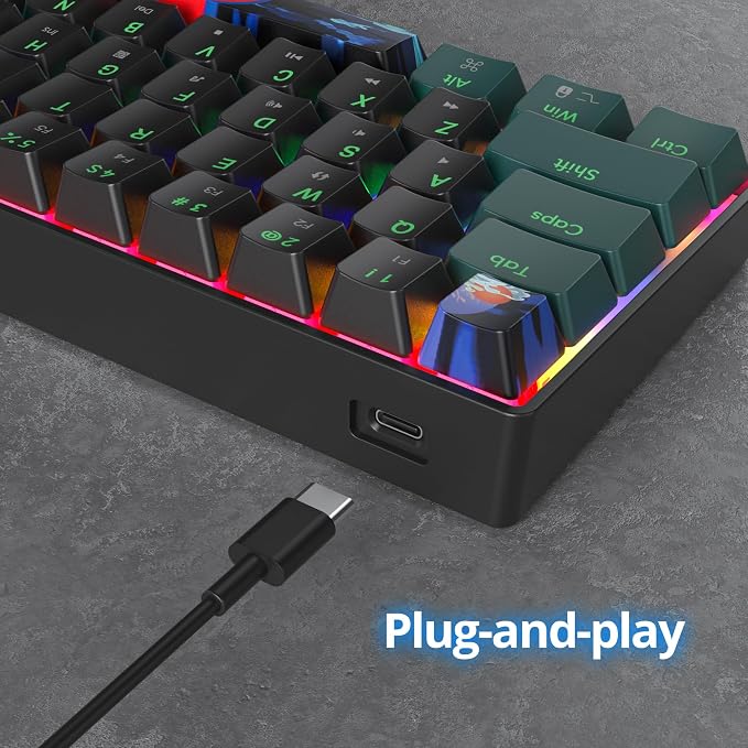 60 Percent Gaming Keyboard 61 Keys Mechanical Keyboard Rainbow Backlit Ultra Compact Wird Keyboard with Red Switches for Win Ps4/5 Xbox(61 Green)