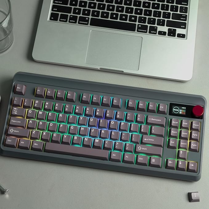 PBT Keycaps Set, Doubleshot 123 Key Caps,Cherry Profile Custom Keycap for 61/64/68/84/87/100/104/108 Mechanical Keyboard, Compatiability for 60 65 75 100 Percent Keyboads (Purple)
