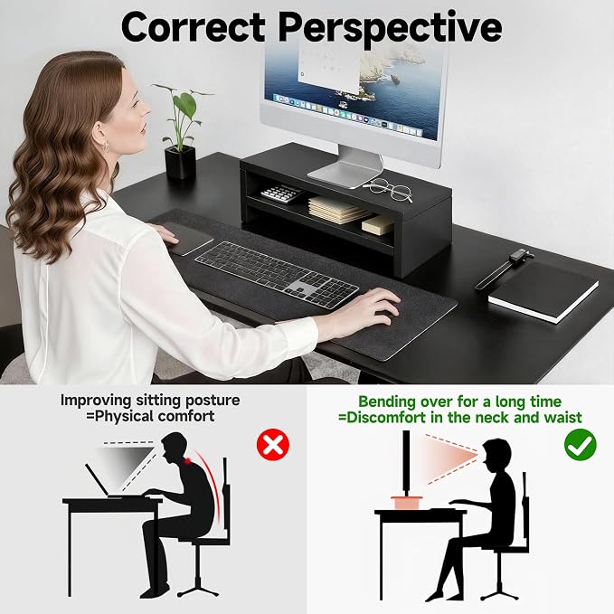 Wooden Monitor Stand Riser, 2-Tier Desk Shelf with Storage Organizer, Ergonomic Computer Stand, Storage Organizer for Laptop, Computer, Black, 15.7 Inch