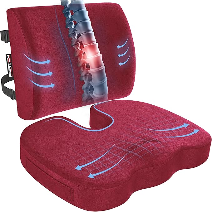 FORTEM Seat Cushion, Office Chair Cushion, Lumbar Support Pillow for Office Chair, Memory Foam Car Seat Cushions, Sciatica Coccyx Tailbone Pain Relief, Cushions for Back Support, Washable, Non Slip