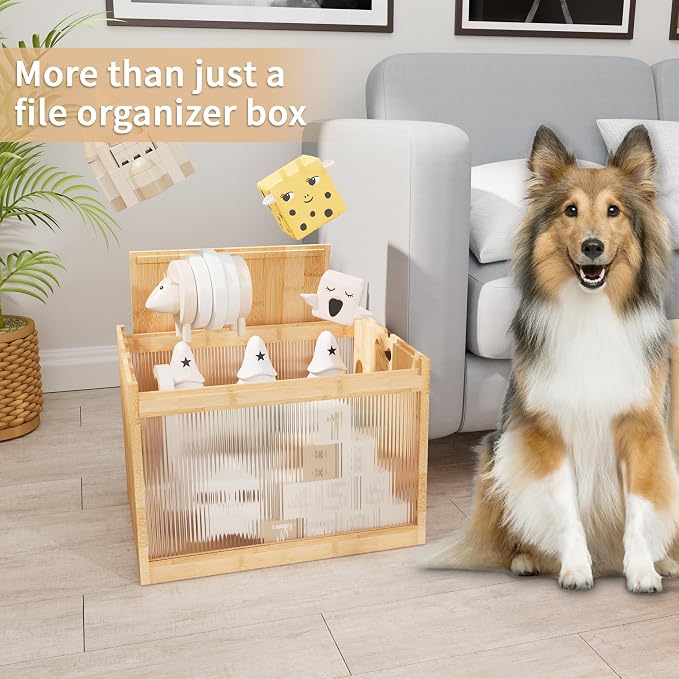 Bamboo Hanging File Organizer, Desk File Box with Lids, 1 Pack, Natural | Removable Lid, Clear Acrylic Side Panels, 2 Hanging Folders Included, Helps Reduce Dust, Letter & Legal Size, Easy Assembly