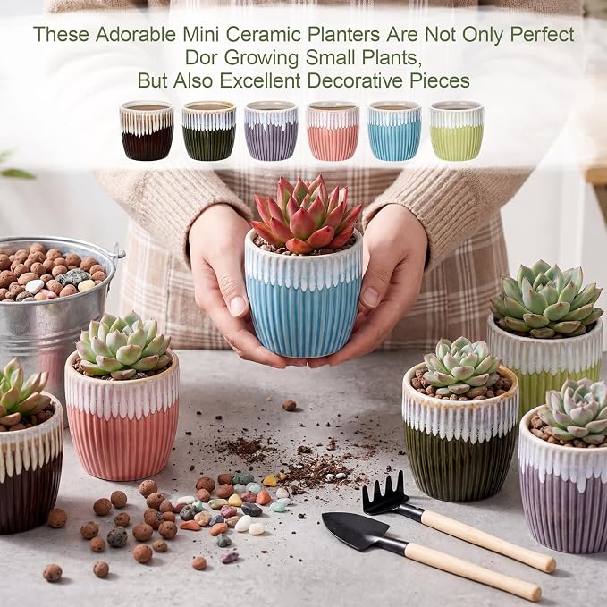 24 Pcs 2.7 Inch Small Succulent Plant Ceramic Pot with Drainage Hole, Cute Mini Succulent Pots for Plants, Succulents, Cactus, DIY Easter Spring Craft Activity, 6 Colors(Color Blocking)