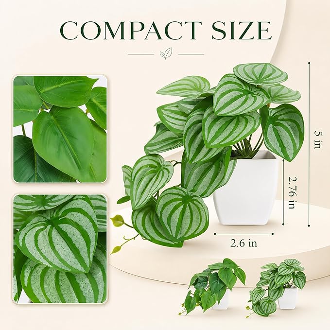 Der Rose 2Pcs Small Fake Plants Artificial Mini Faux Plants for Bathroom Office Desk Shelf Table Accessories Decor Indoor
