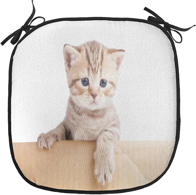 Lunarable Cat Chair Cushion Pad, British Cat in Cardboard Box Little Striped Fur Looking at Camera Picture, Seat Padding for Kitchen & Patio with Anti-Slip Backing, 16"x16", Sand Brown White