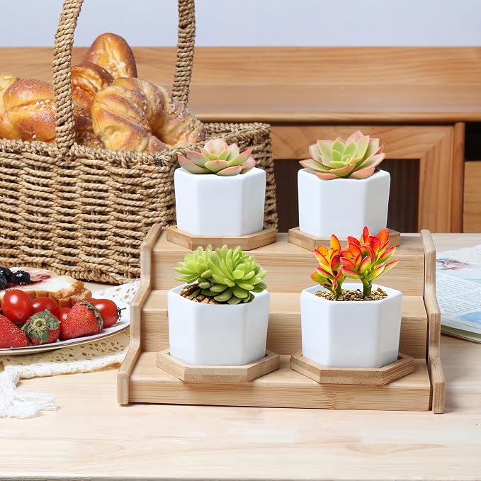 T4U Small White Succulent Planter Pots with Bamboo Tray Hexagon Set of 2, Geometric Ceramic Cactus Plant Holder, Succulent Plant Gifts for Gardener Women Coworker, Home Office Table Desk Decoration