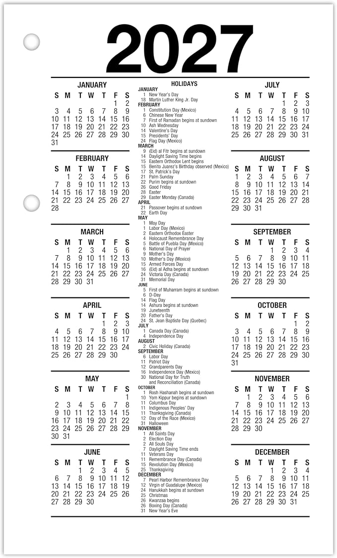 AT-A-GLANCE 2027 Desk Calendar Refill for E1700 Base, Daily Desk Pad Refill, 3.5" x 6", Standard, Loose-Leaf (E7175027)