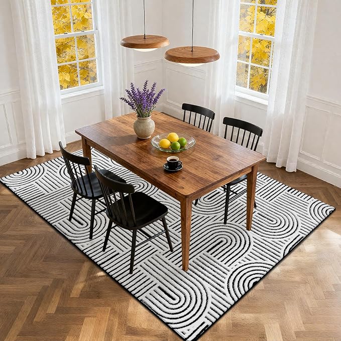 SHACOS Soft Cozy Fluffy Arch Pattern High Low Pile Rugs 3'x5' Non Slip Washable Scandinavian Minimalist Rug Modern Geometric Arc Carpet for Living Room Bedroom Dining Room, Black White