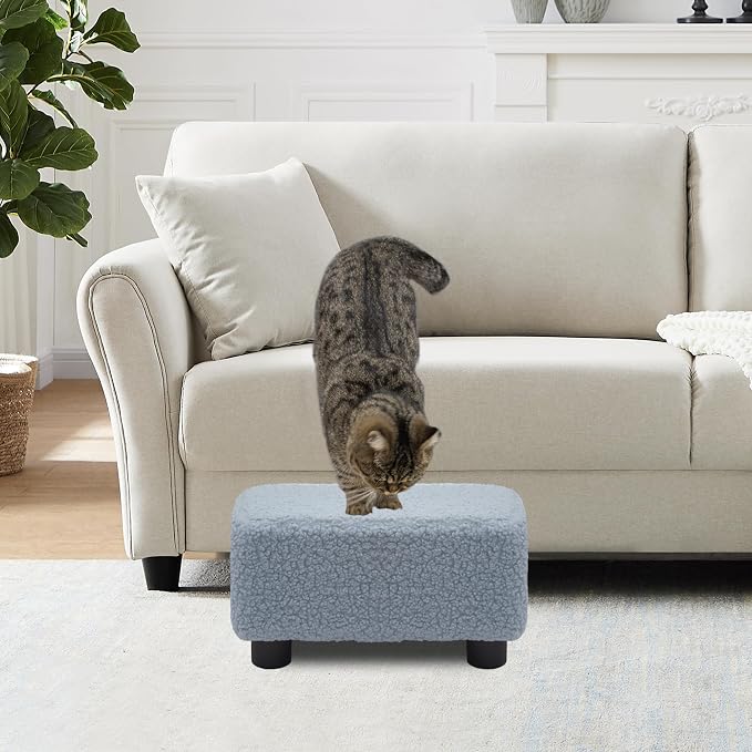 CAROLMADE Small Foot Stool Ottoman Footstool with Legs Under Desk Footrest for Living Room Bedroom and Office, Soft Blue