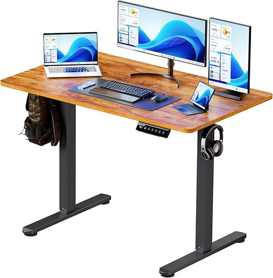 BIZUM 40x24 Inch Electric Standing Desk with Memory Presets, Quiet Motor Height Adjustable Stand Up Desk for Home Office & Gaming, Ergonomic Sit Stand Workstation，Light Rustic Brown