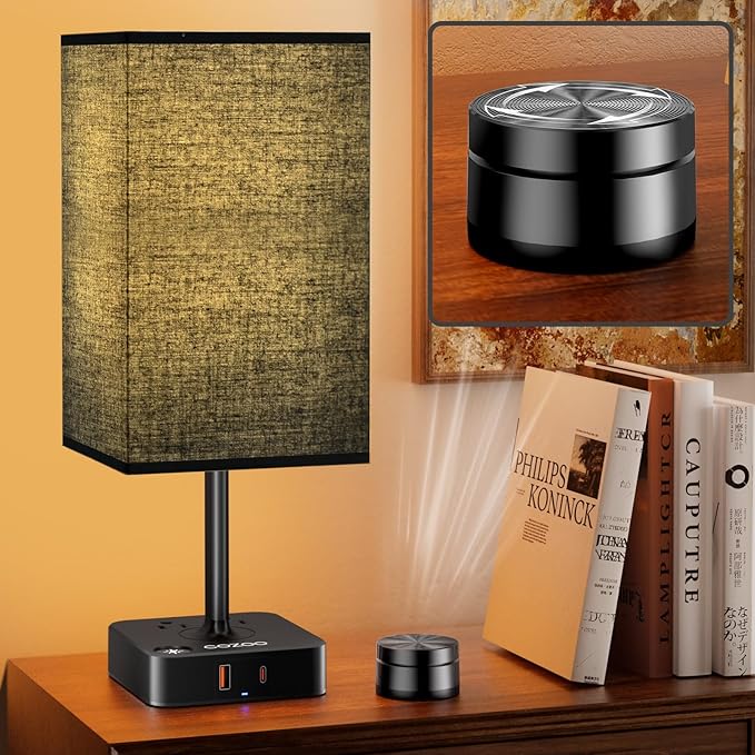 cozoo Bedside Table Lamp for Bedroom, 3 Way Dimmable & Remote Control Stepless Dimming Touch Nightstand Lamp, 2 USB Ports and 2 AC Outlets, Small Desk Light for Living Room, Bed, Study, Black