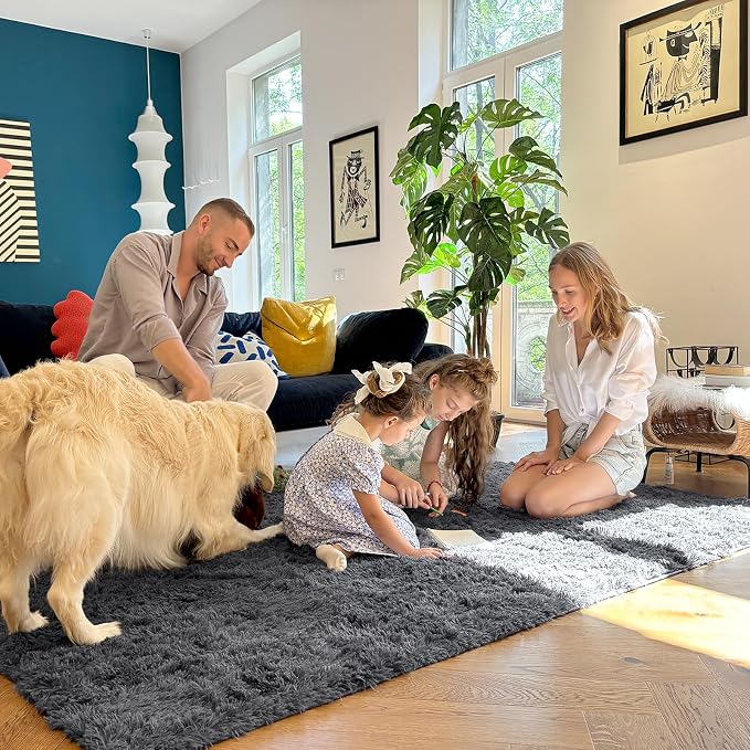 OLANLY 3x4 Machine Washable Accent Rug, Soft Fluffy Shaggy Area Rug for Bedroom, Living Room, Indoor Floor Carpet for Kids, Nursery, Home Decor, Grey