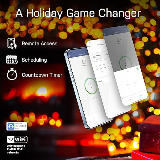 Feit Electric Smart Plug, Works with Alexa and Google Home, No hub Required, 2.4 GHz Network Only, Remote Control from Anywhere 15 Amp, Indoor Outlet for Home Appliances (Smart Plug + USB Ports, 2)