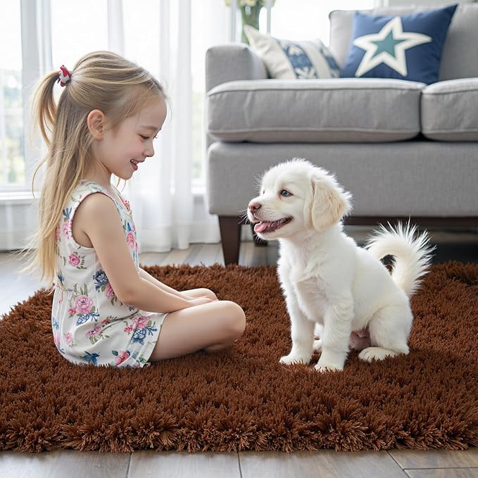 Area Rugs 9x12 Living Room, Large Area Rug Shaggy Carpet Soft Plush Furry Bedside Rug, Machine Washable Area Rugs for Bedroom Home Decor Non-Slip(9 x 12, Coffee)