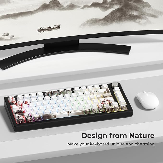 XVX PBT Keycaps, Custom Keyboard Keycaps 60 75 100 Percent, Shine Through Cherry Profile Keyboard Caps, Doubleshot Side Print Dye Sub Keycap Set (Plum Blossom)