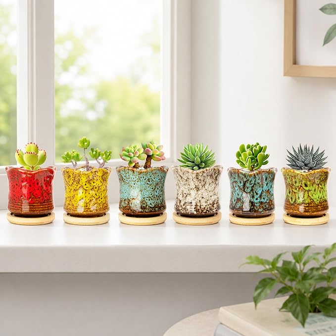 ARTKETTY Succulent Pots with Drainage Tray, Cute Ceramic Pots for Plants Set of 6