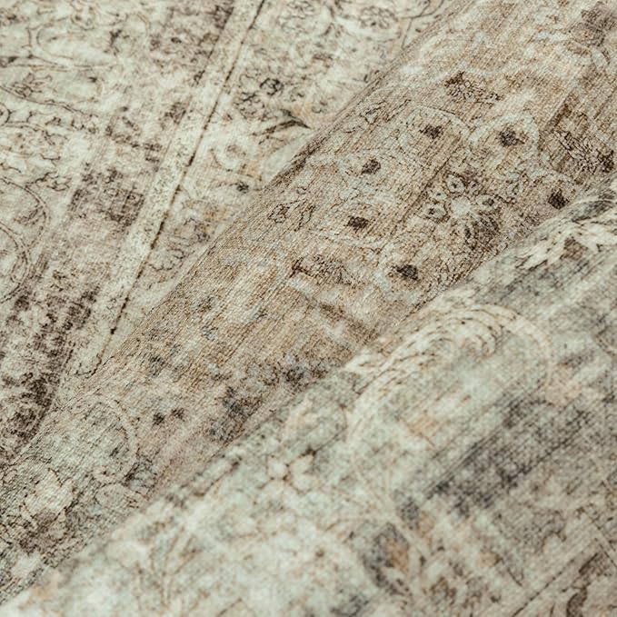 PureCozy Sage Area Rug 5x7 for Living Room Washable Vintage Carpet Low Pile Non Slip Distressed Soft Traditional Retro Oriental Large Accent Throw Rug Office Kitchen Bedroom Dining Room