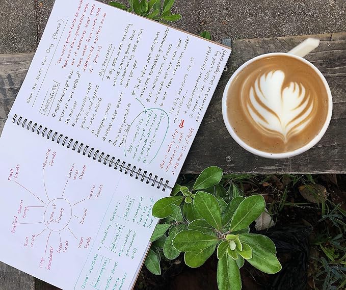 Unruled Classic Blank Spiral Notebook, 60lb Premium Plain Paper, 70 Sheets, Recycled and Sustainable, 10.5" x 8", 3 Pack, Black Foil/Wire
