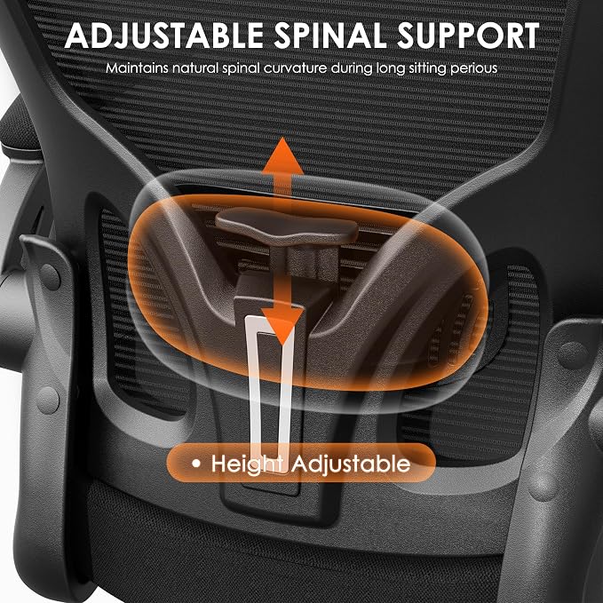 INTERGREAT Ergonomic Office Chair, High Back Home Office Desk Chair with Wheels, Breathable Mesh Computer Chairs with 3D Armrests and Headrest, Comfortable & Easy Assembly,Black