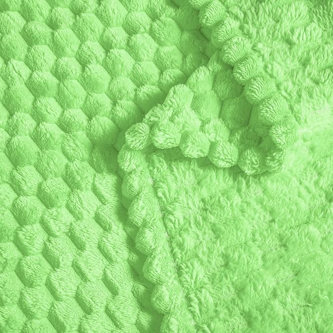 Vessia Flannel Fleece Twin Size Blanket(60x80 inch), 3D Jacquard Light Green Fuzzy and Warm Blanket for Couch, Sofa, 300GSM Super Soft Touch Cozy Lightweight Bed Decor for All-Season